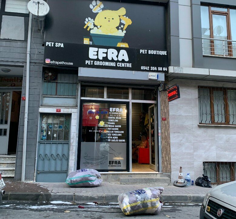 Salón de mascota, peluquería de animales Efra Pet Grooming and Pet Boarding, , foto