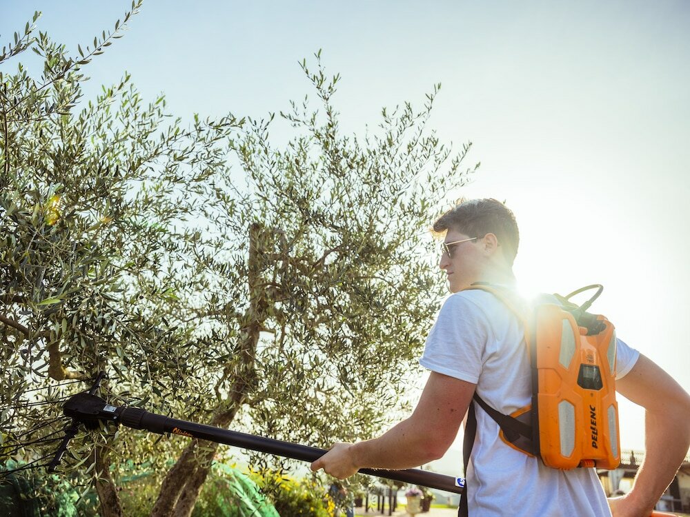 Фото Agriturismo Pelagaccio