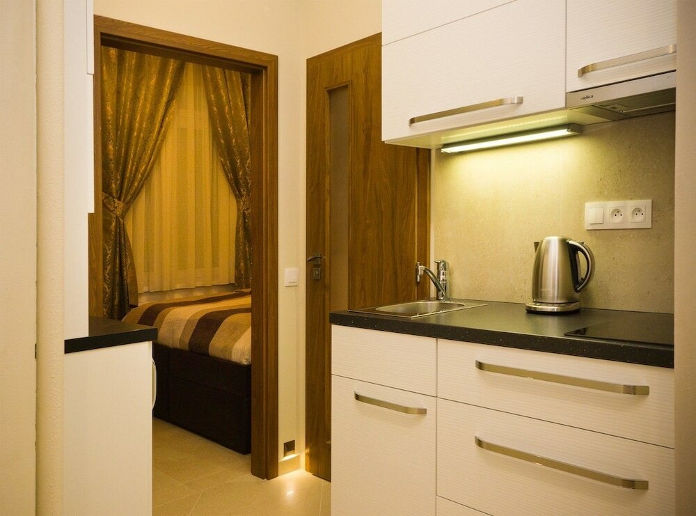 Фото Апартаменты Karla Capka Street