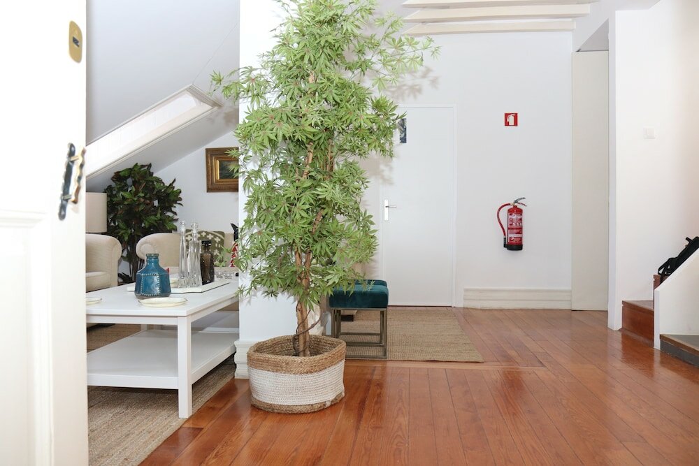 Фото Botanic Views Guest House