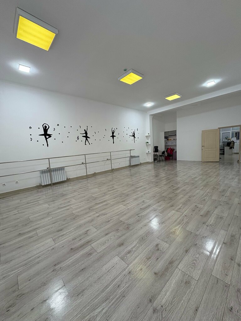 School of the arts Shabyt, Chimkent, photo