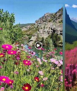 Haremi Garden Bungalov ve Restoran (Tokat, Almus, Ötükent Mah.), hotel