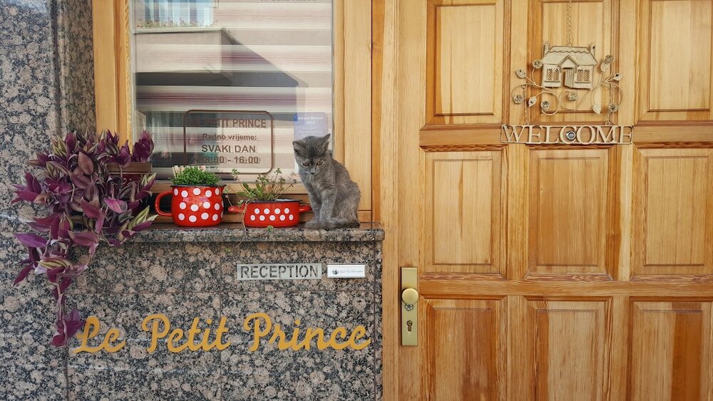 Фото Le Petit Prince