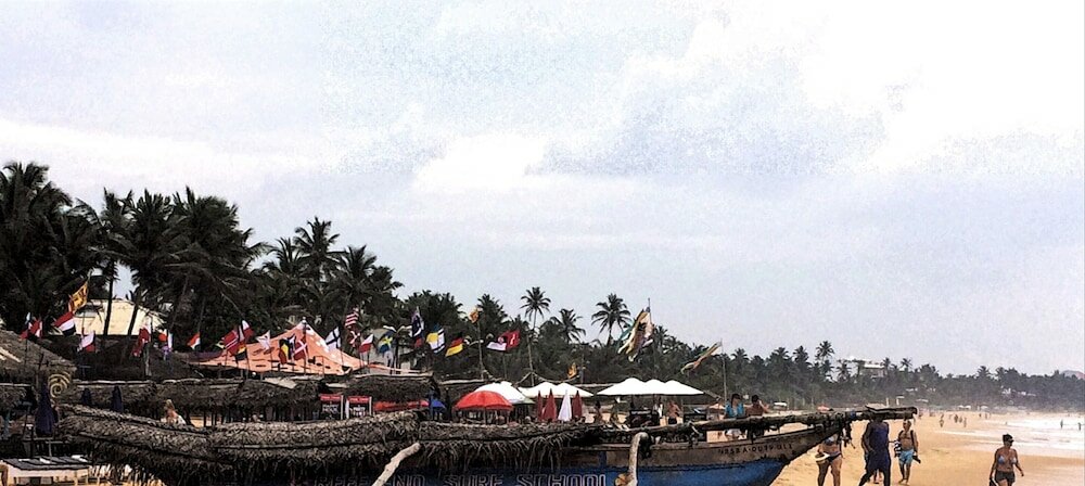 Фото Curry Bowl Restaurant & Turtles Rest