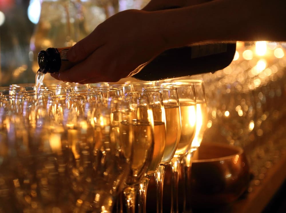 Фото The Loopy Shrew