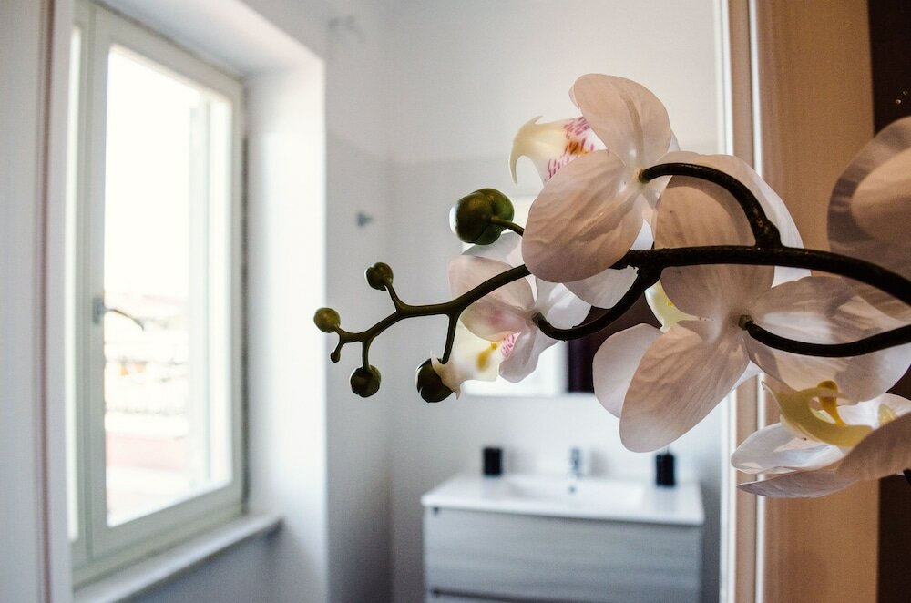 Фото Villa Erasi Guest House