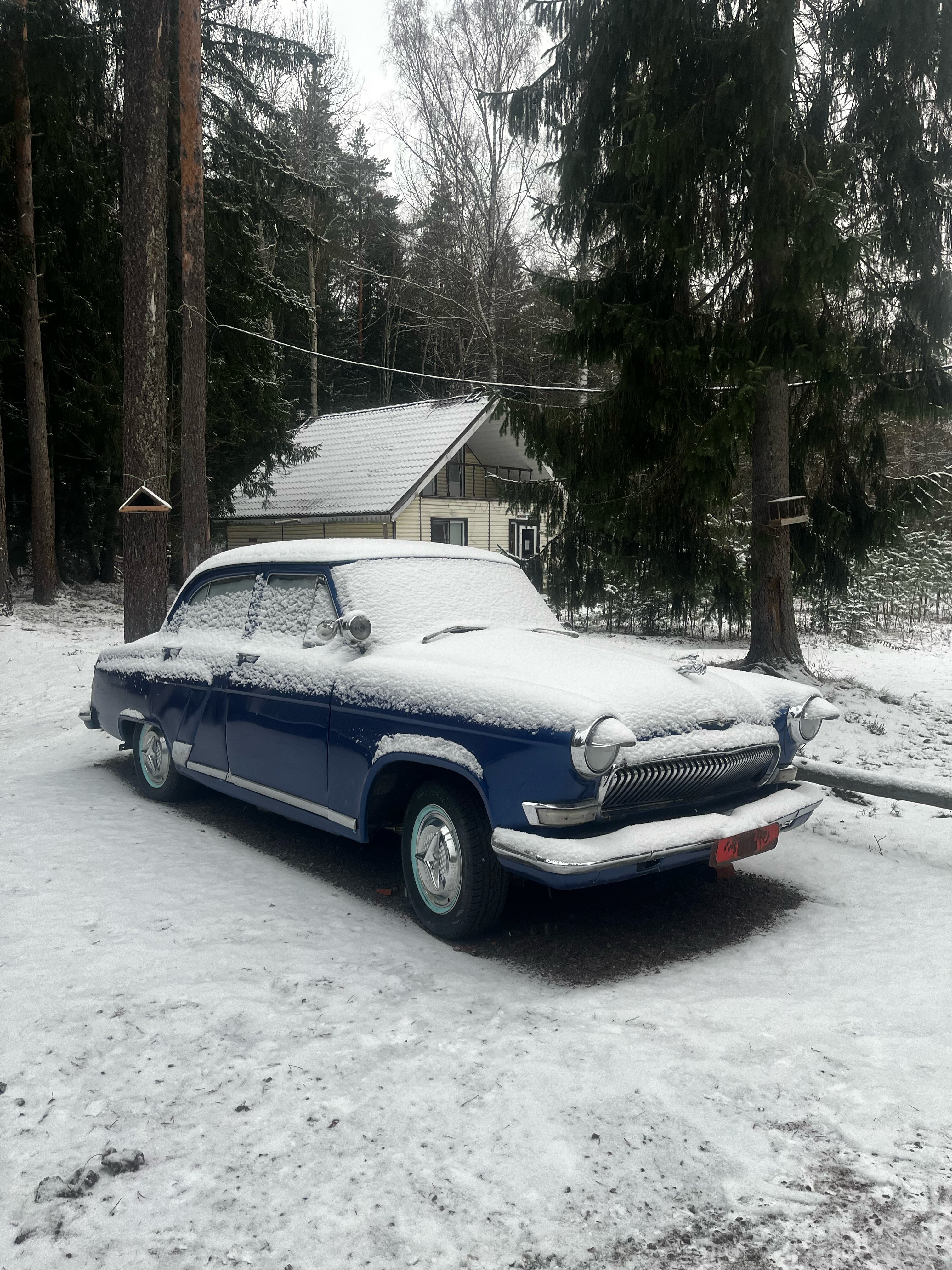 Фото Драгунский ручей