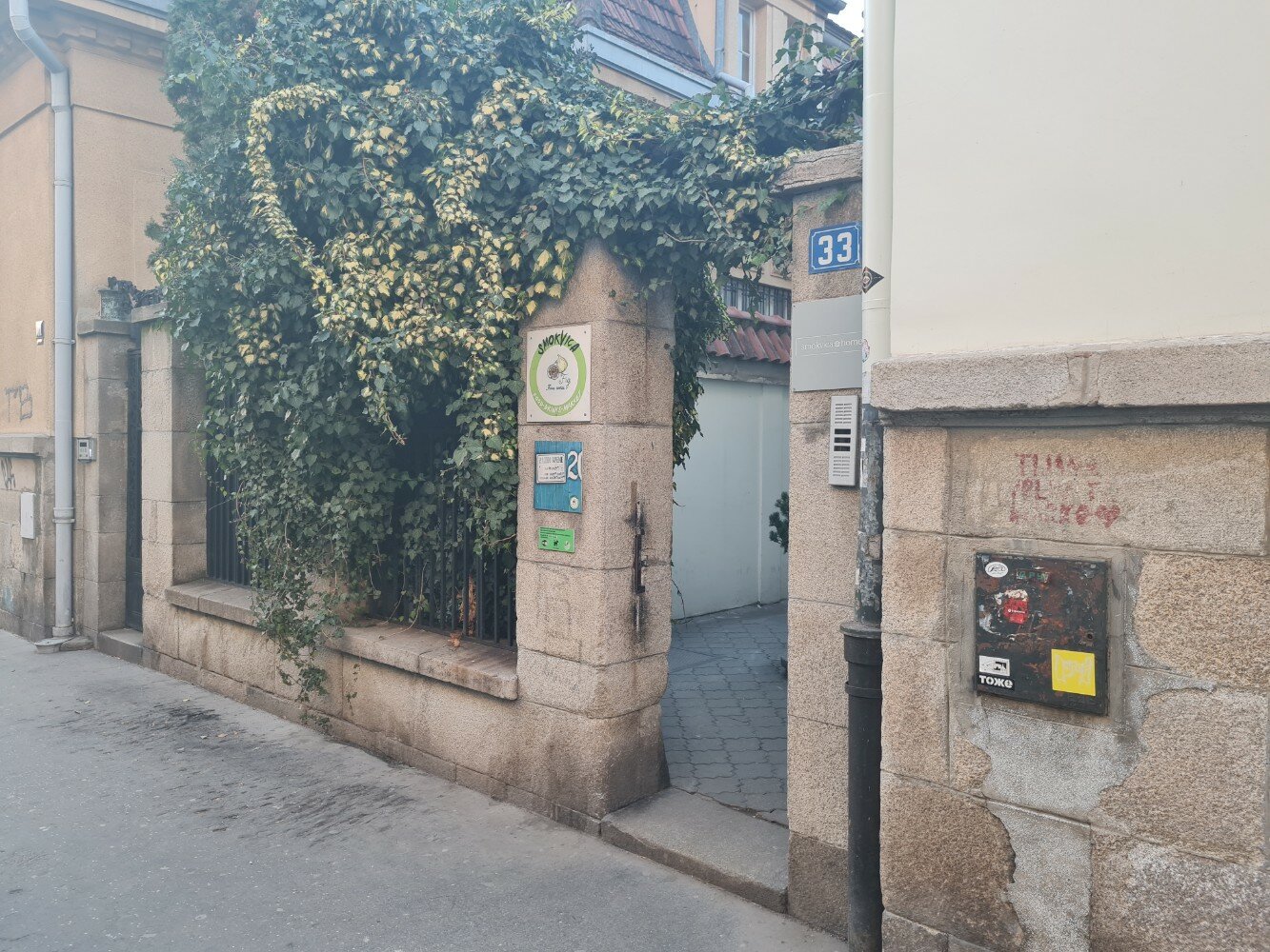 Фото Smokvica Vracar