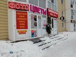 Нумизматика (Tyumenskiy Highway, 6/1) ، تجار العملة
