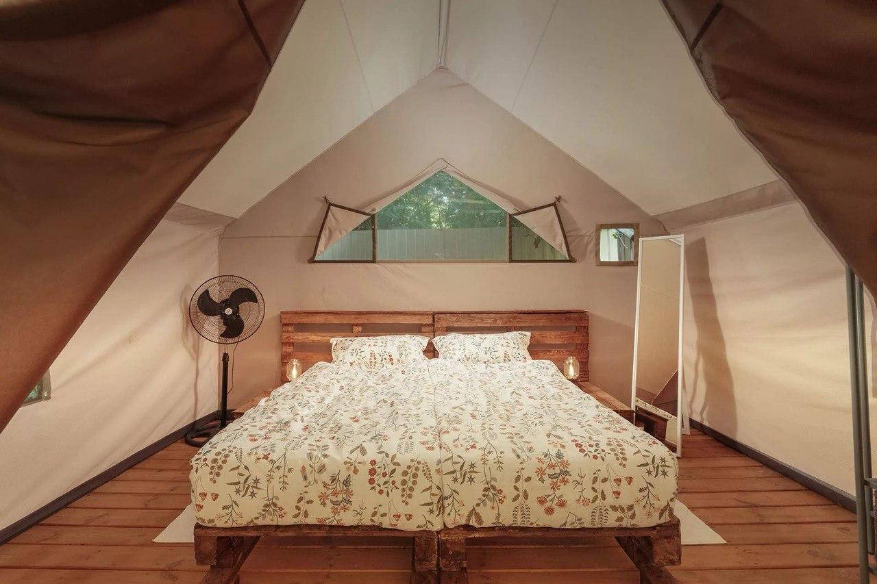 Фото Южный Вайб Древо