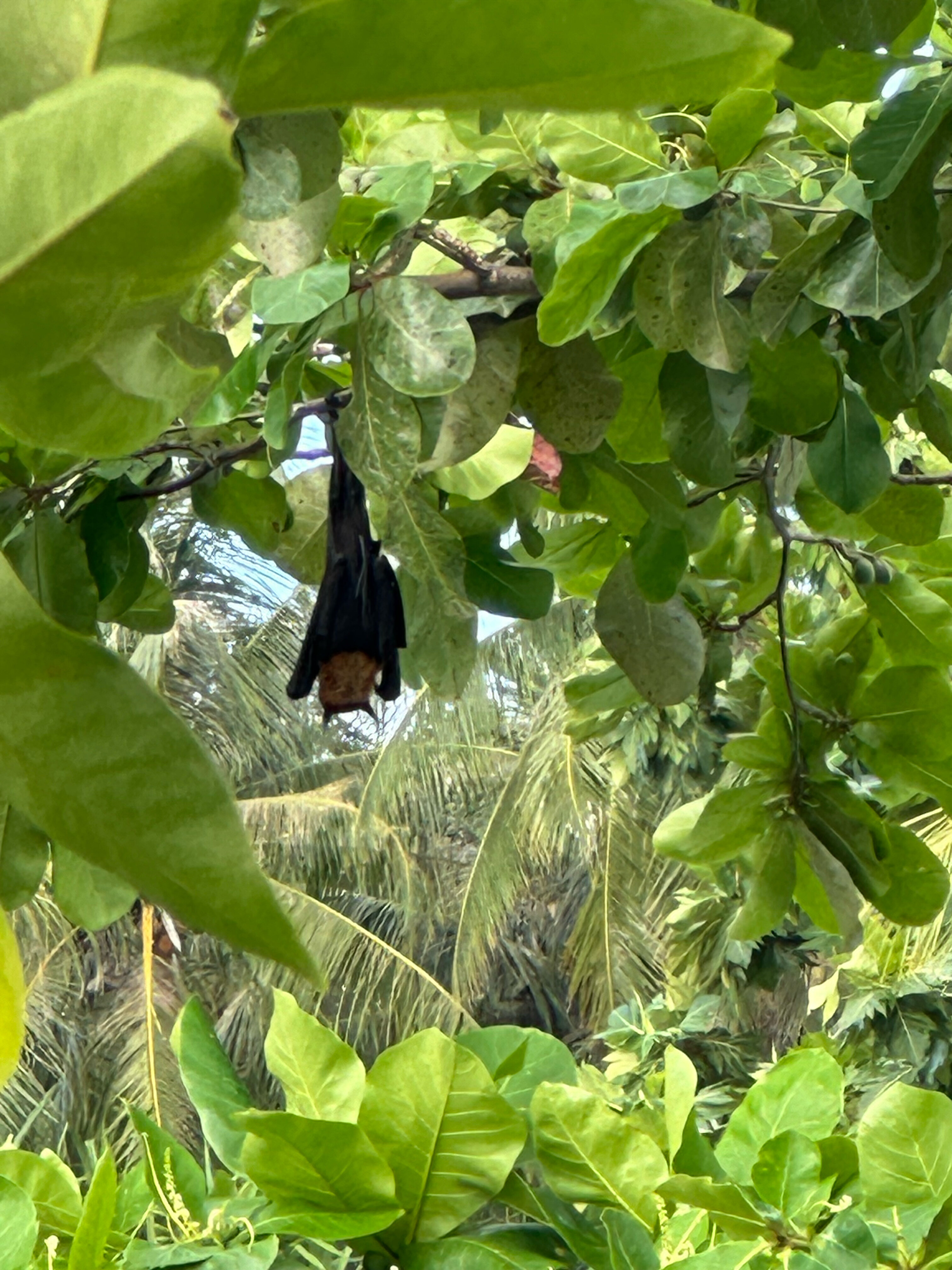 Фото Sands Grand Hotel