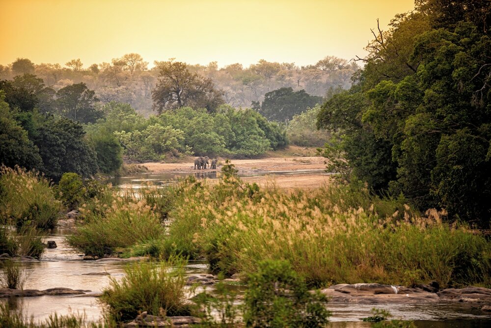 Фото Rhino Walking Safaris