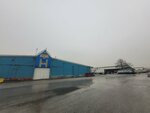 Ankara Metropolitan Municipality Wholesale Market (Ankara Province, Yenimahalle, Hipodrom Cad.), verduras y frutas al por mayor