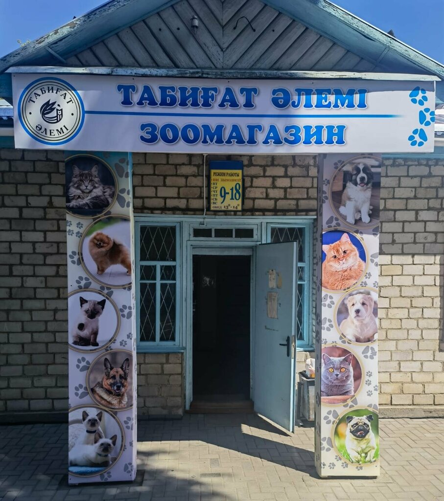Pet shop Pet store, Taldikorgan, photo