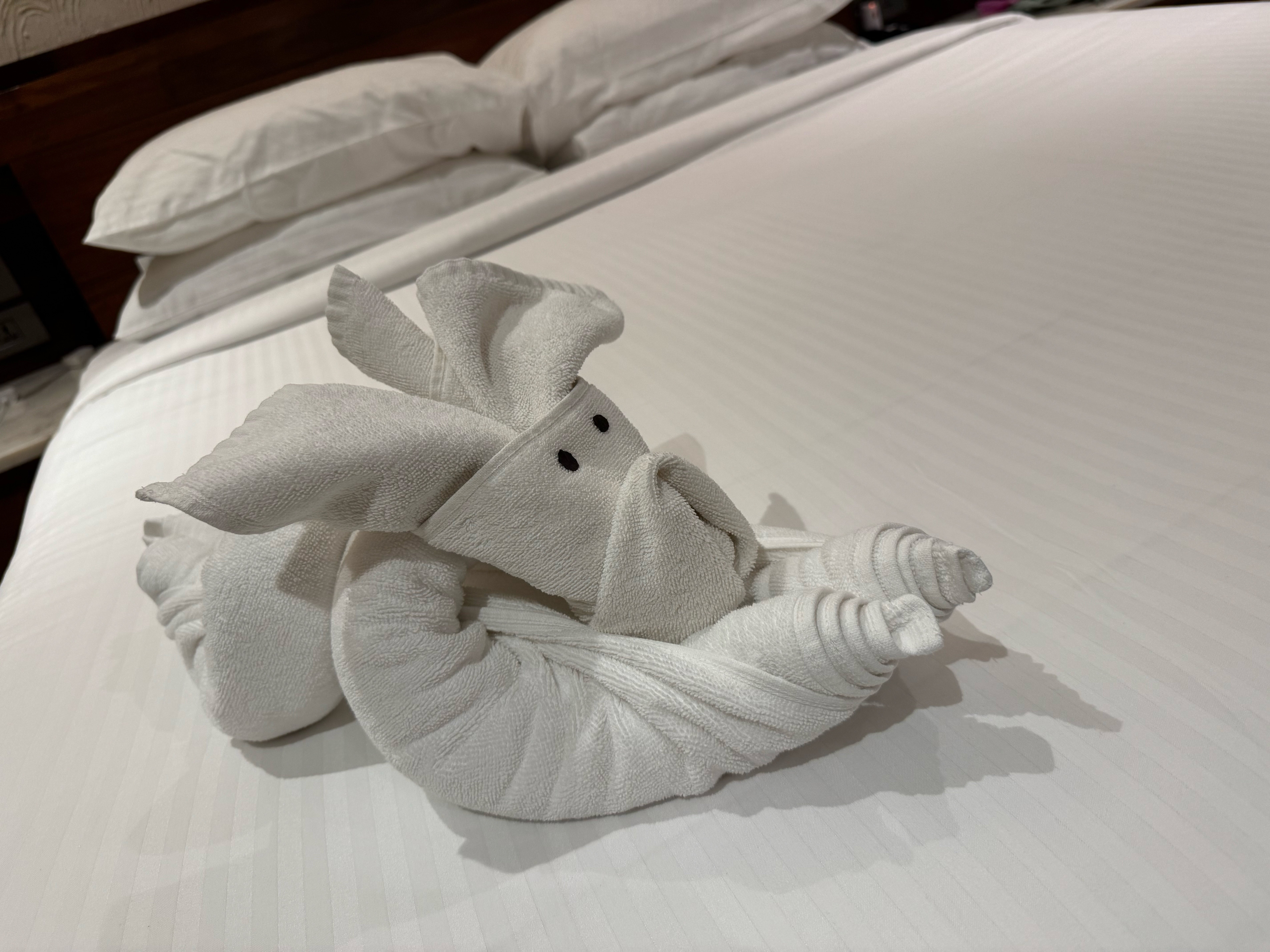 Фото Beleza by the Beach