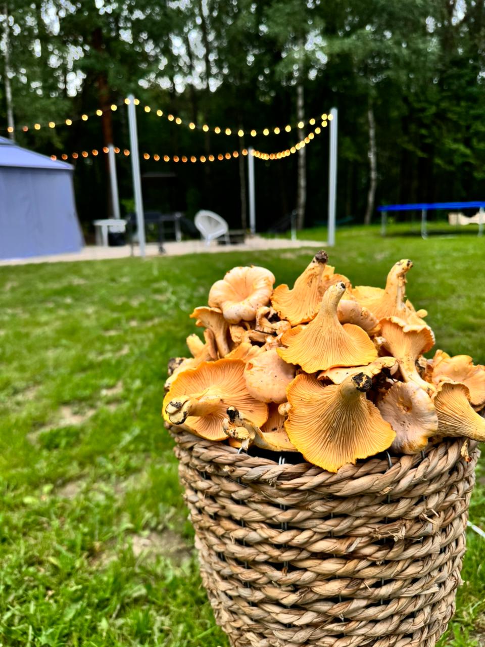 Фото Капитанский Остров 57