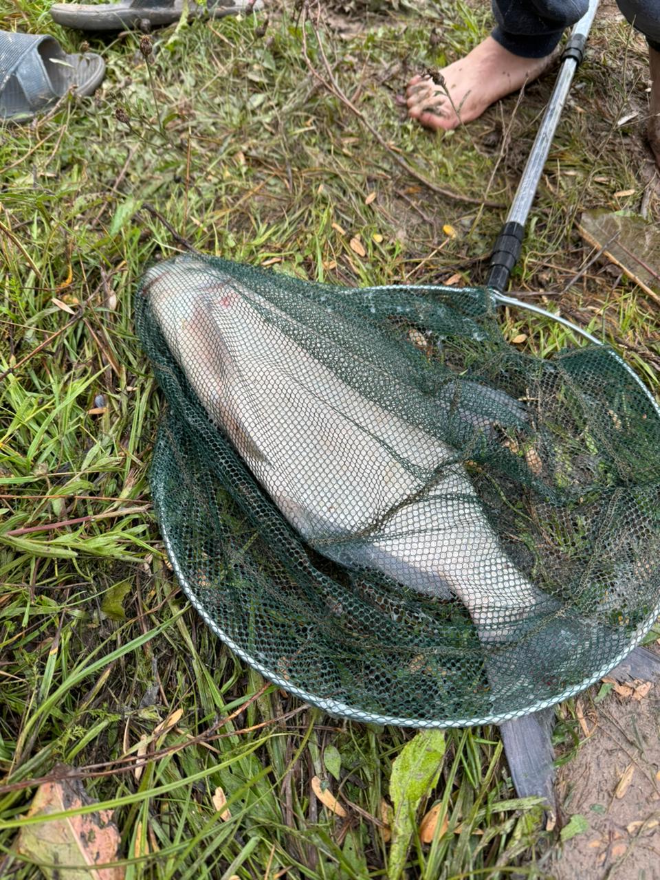 Фото Капитанский Остров 57