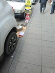 Istanbul Spot Shoe (Konya, Meram, Sahibiata Mah., Kibar Sok., 5) ، متجر لبيع ورق الجدران