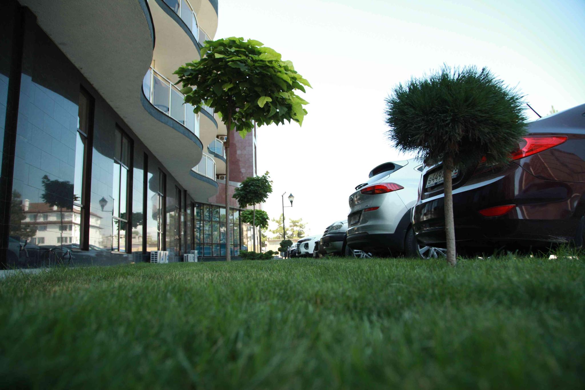 Фото Dream Hotel Anapa