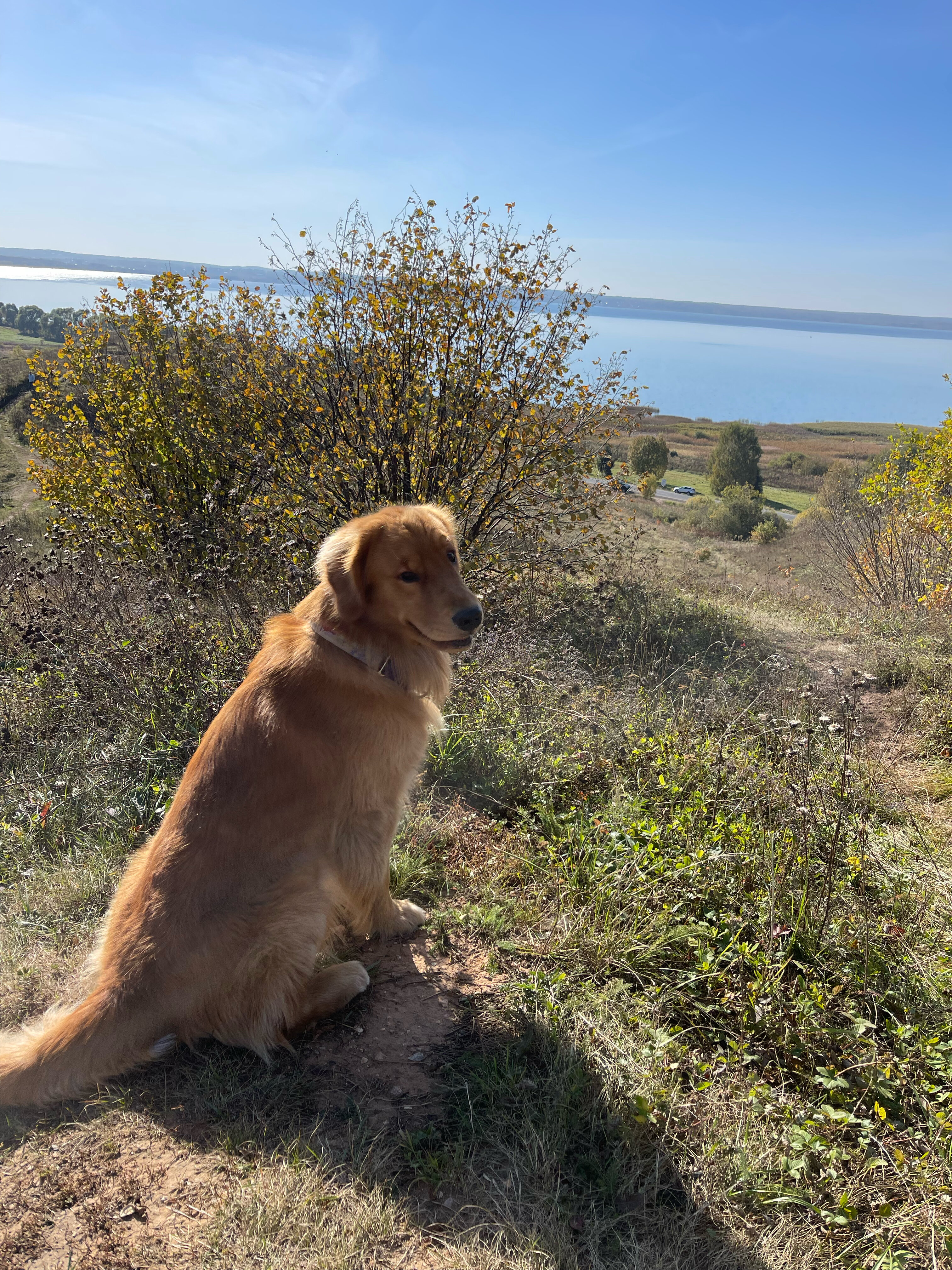 Фото Плещеево Хиллз