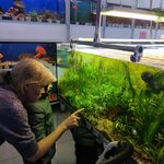 Рыбки аквариумные (ulitsa Yevgeniya Bogdanovicha, 10), aquariums