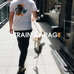 Train Garage (İstanbul, Besiktas, Arnavutköy Mah., Beyazgül Cad., 119), fitness club