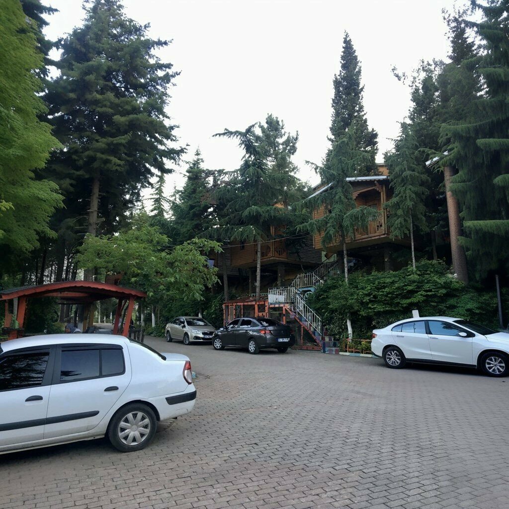 Library Forest Library, Kartepe, photo