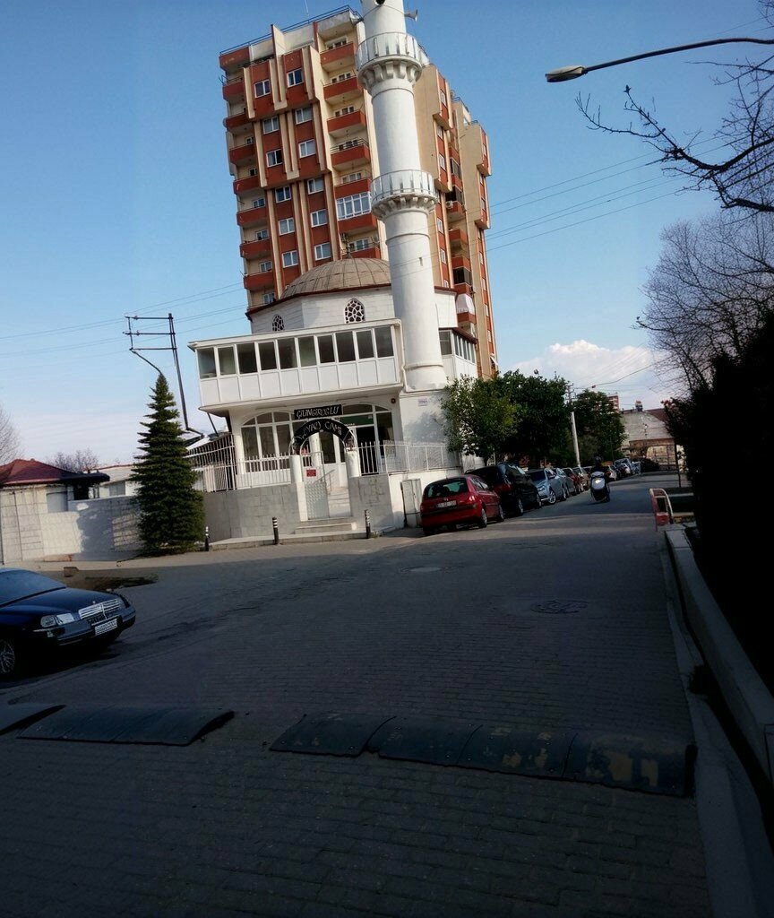 Mosque Cilingiroglu White Mosque, Efeler, photo