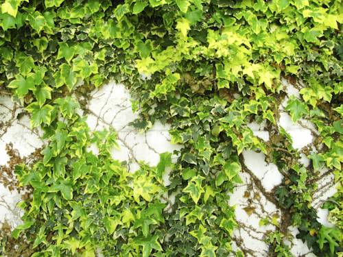 Фото Hotel Trash Deluxe