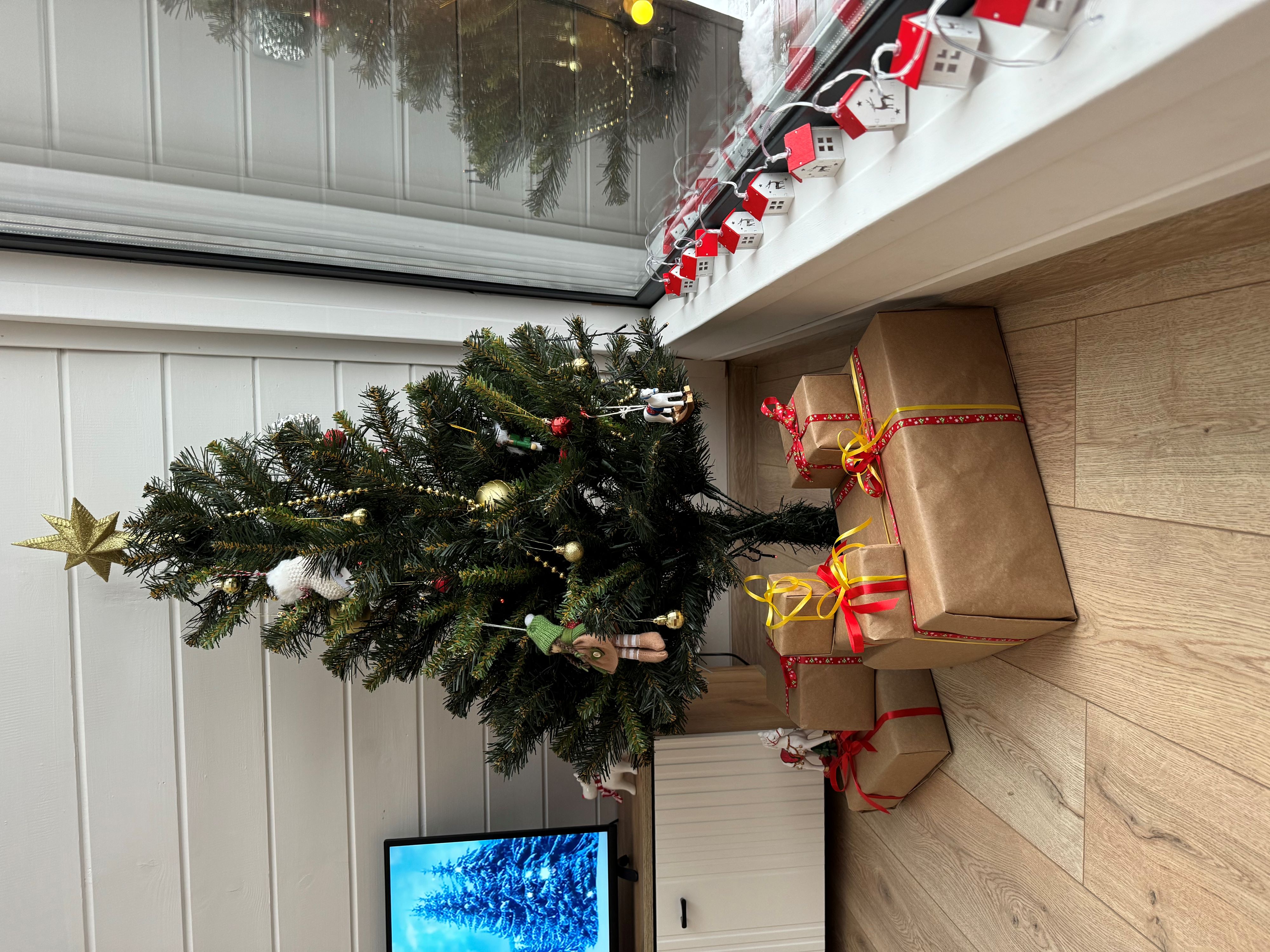 Фото Дубовая роща