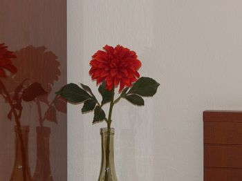 Фото Kripis Studio Thessaloniki Apart-Hotel