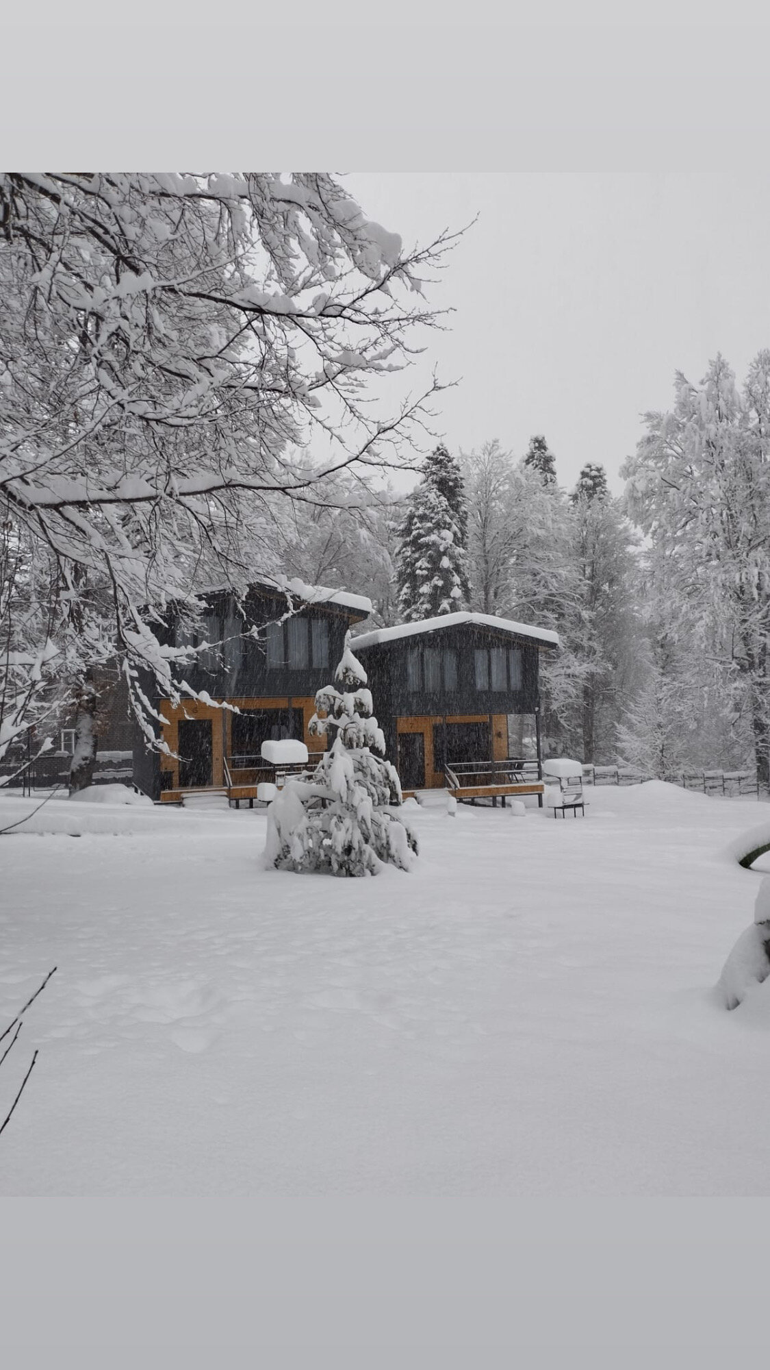 Фото ЗимаЛето