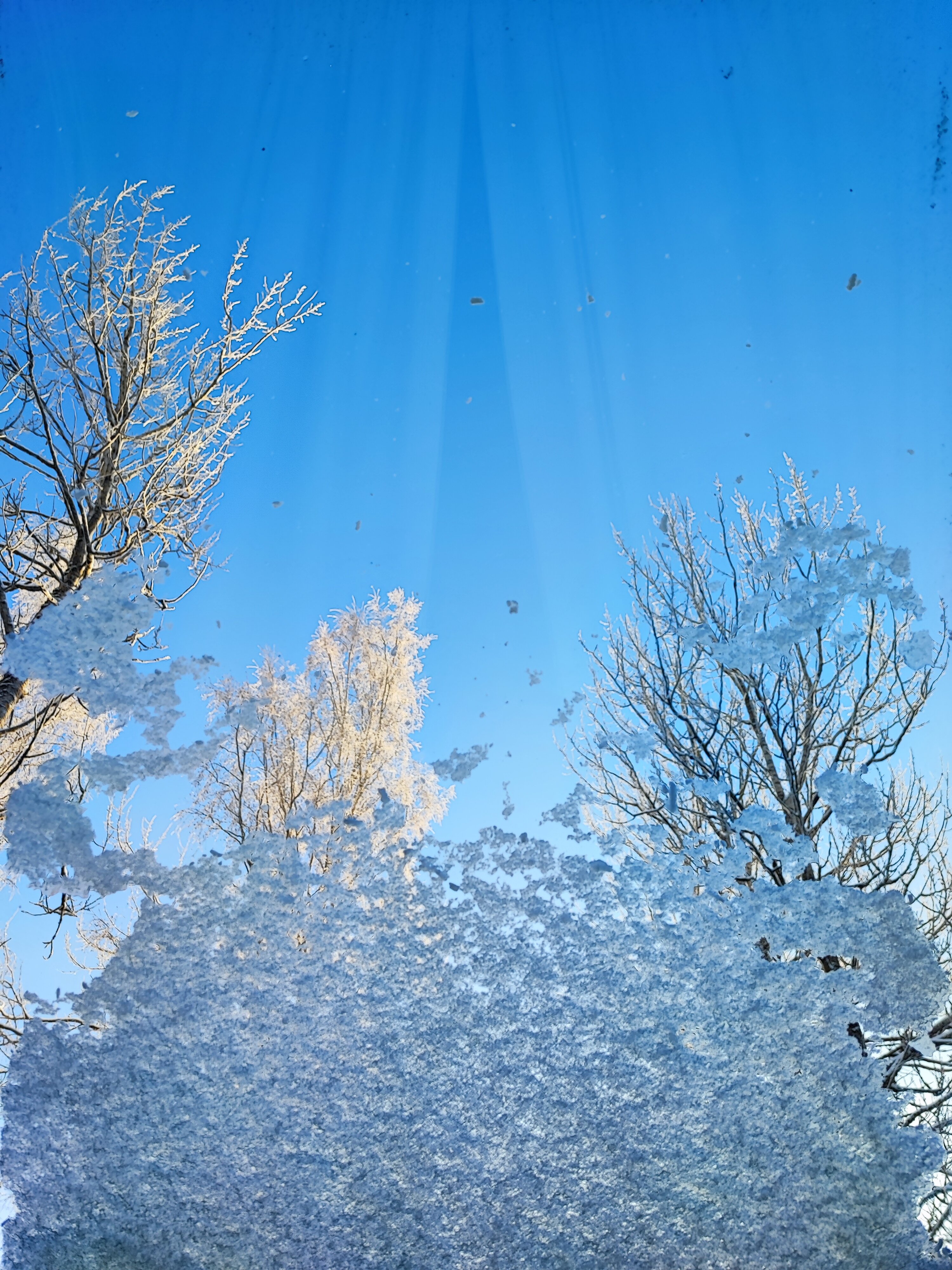 Фото Коттедж Рябиновка