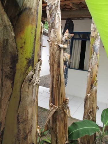 Фото Pousada Nel Blu