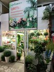 Magazin Lotos (ulitsa Spandaryana, 14А), artificial plants and flowers