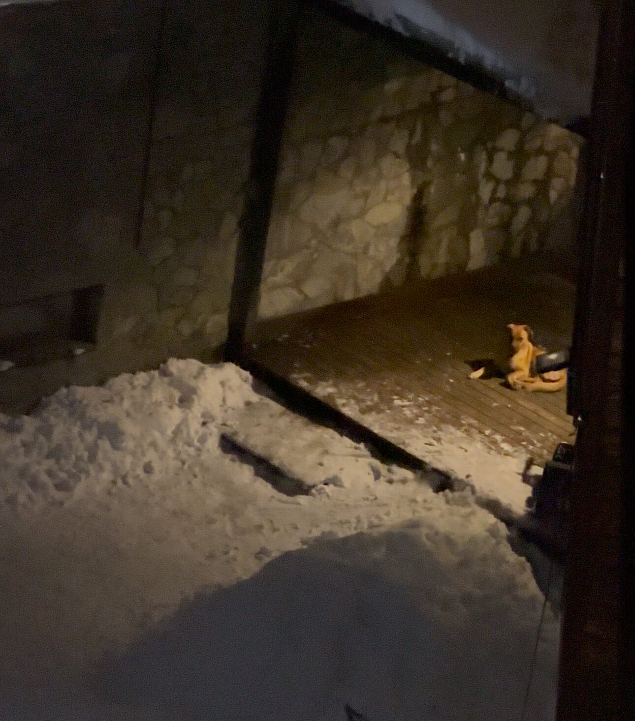 Фото Карпэ Диэм