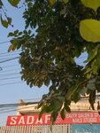 Sadaf Beauty Salon and SPA (Service Road, 46), spa