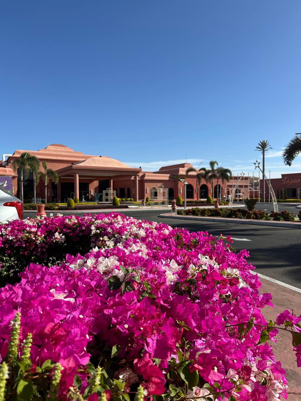 Фото Pickalbatros Laguna Club Resort Sharm El Sheikh