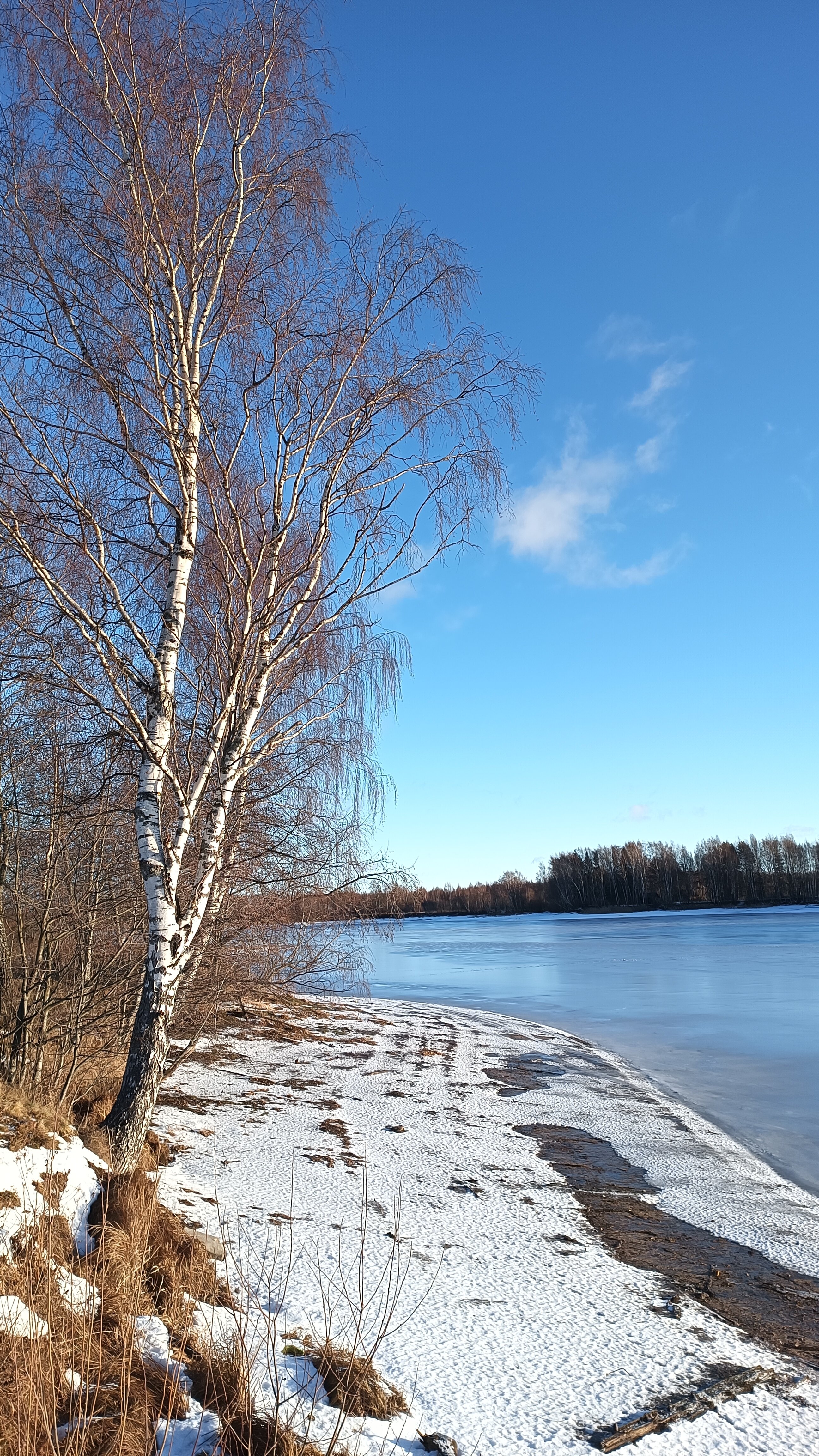 Фото Заповедные устья