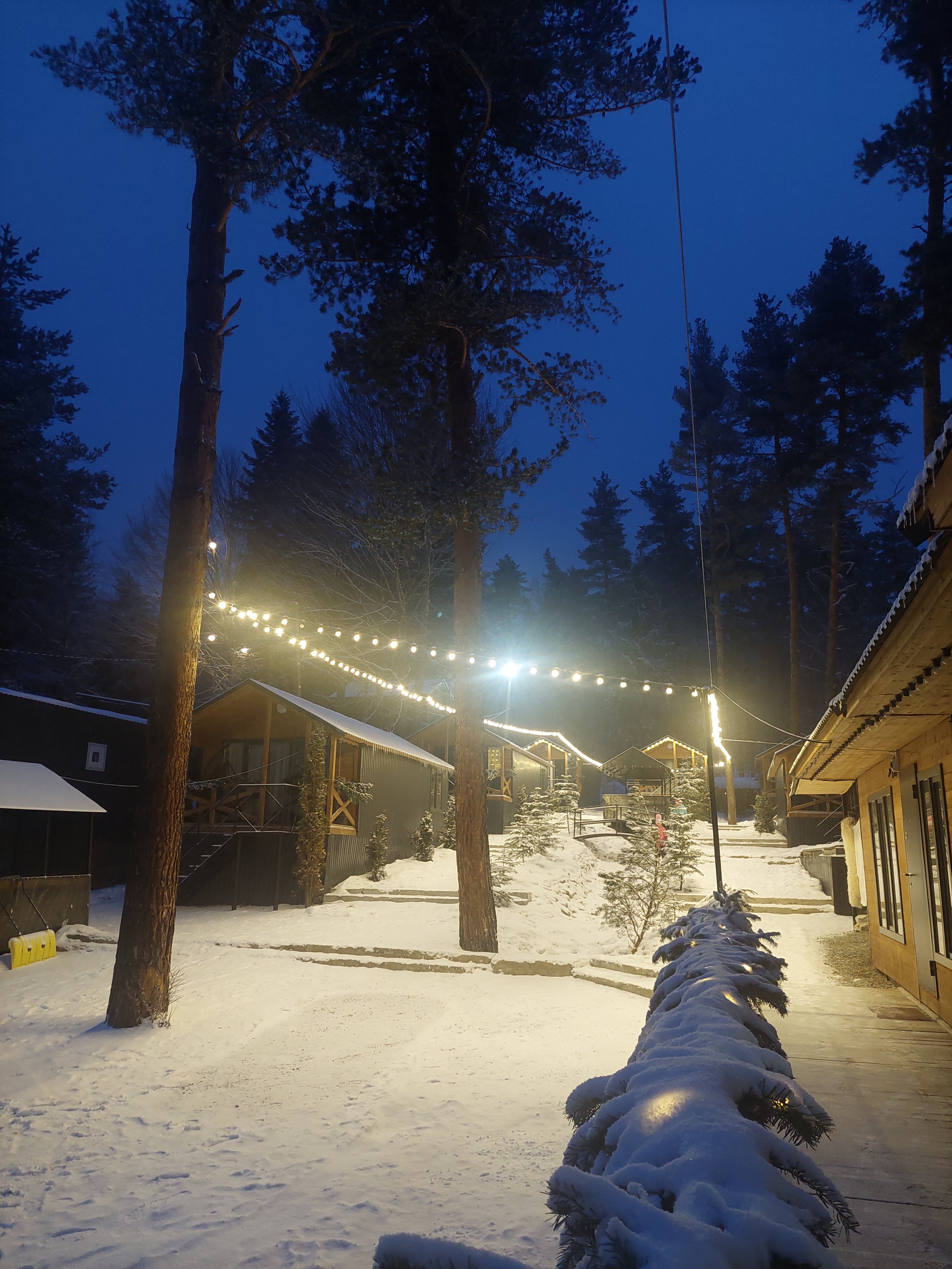 Фото Сосновка