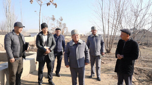 Erkak jinsiy olatni porno onlayn