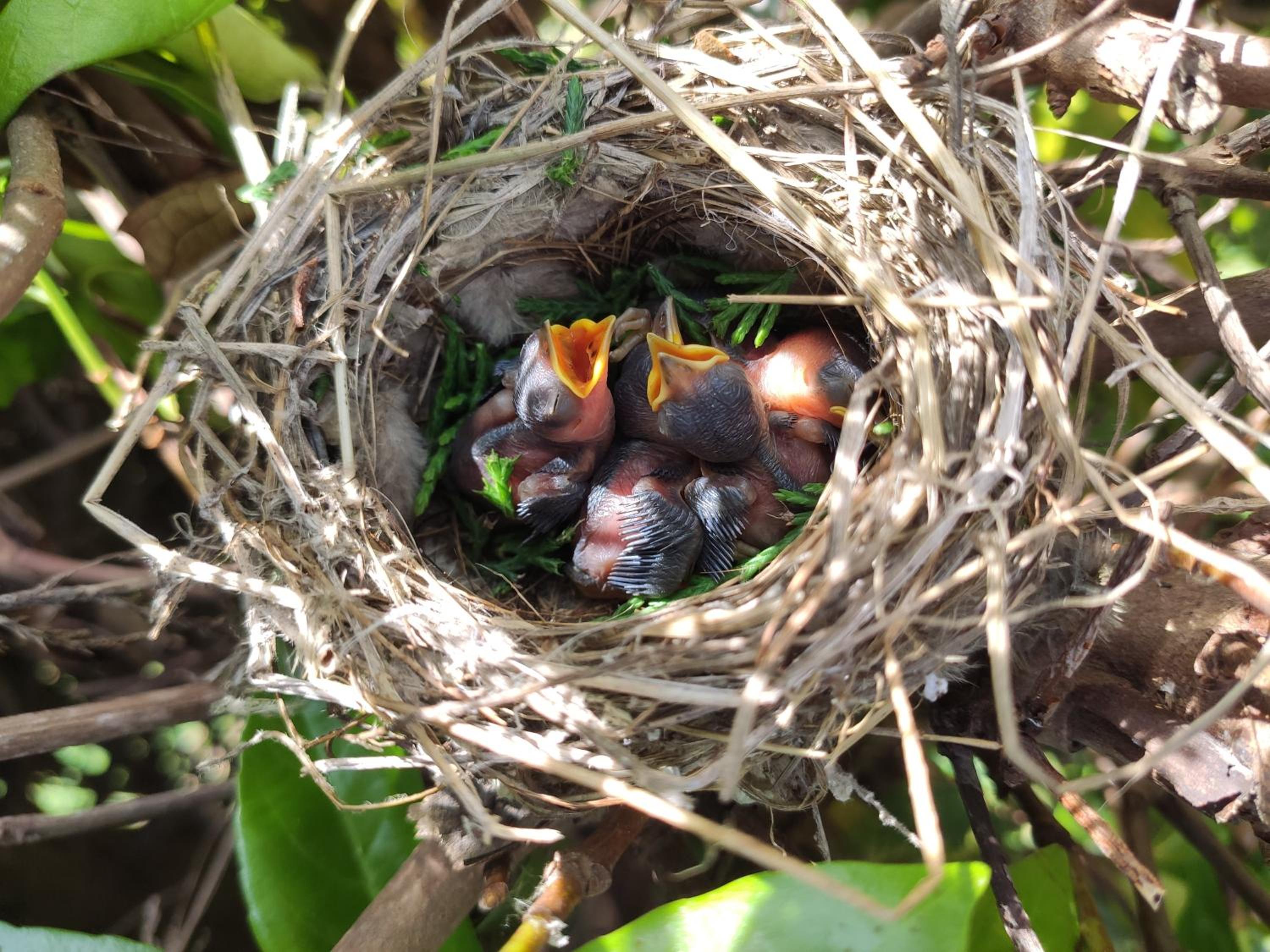 Фото Masseria Costarella