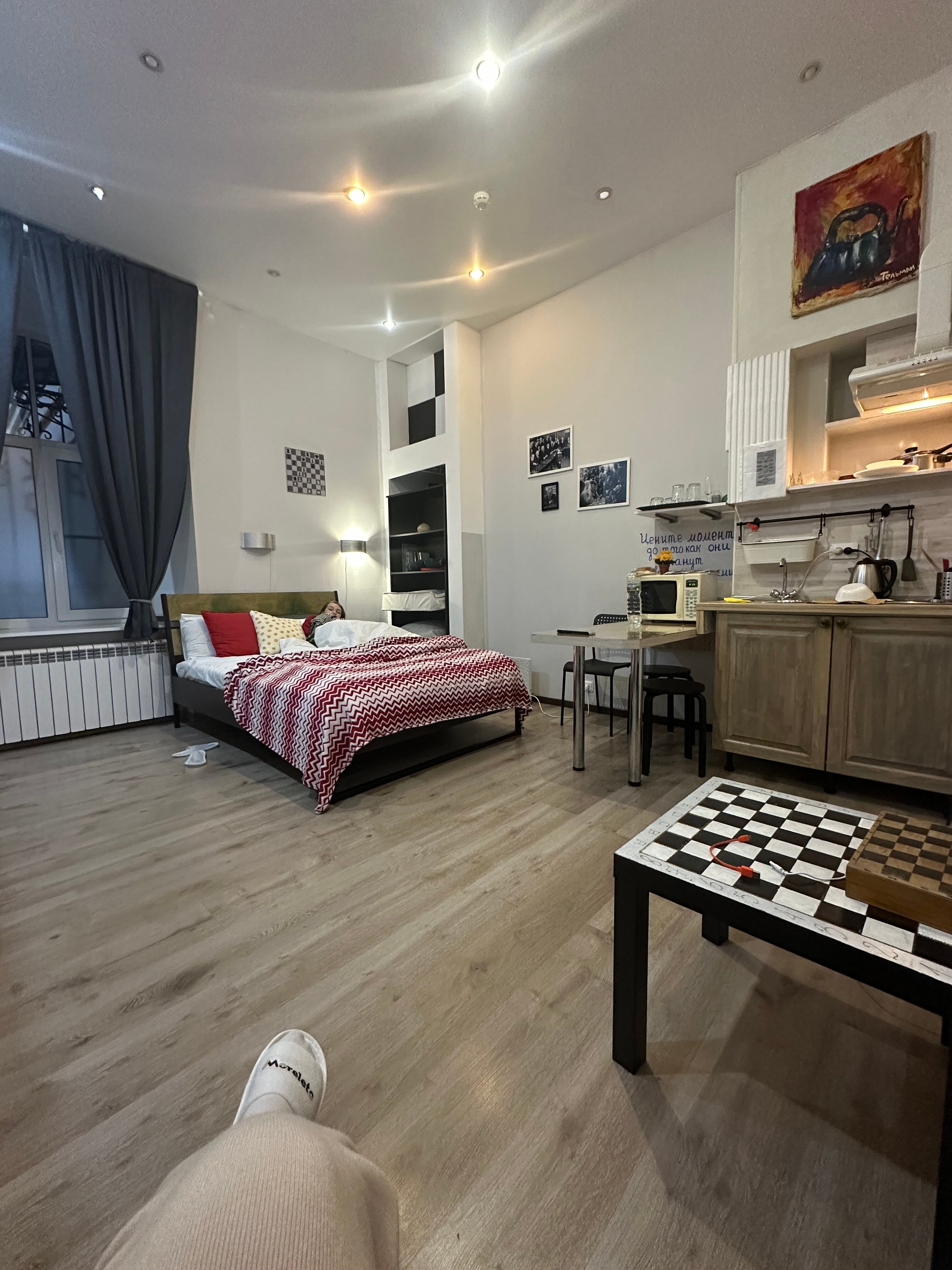 Фото Чайка на Фонтанке