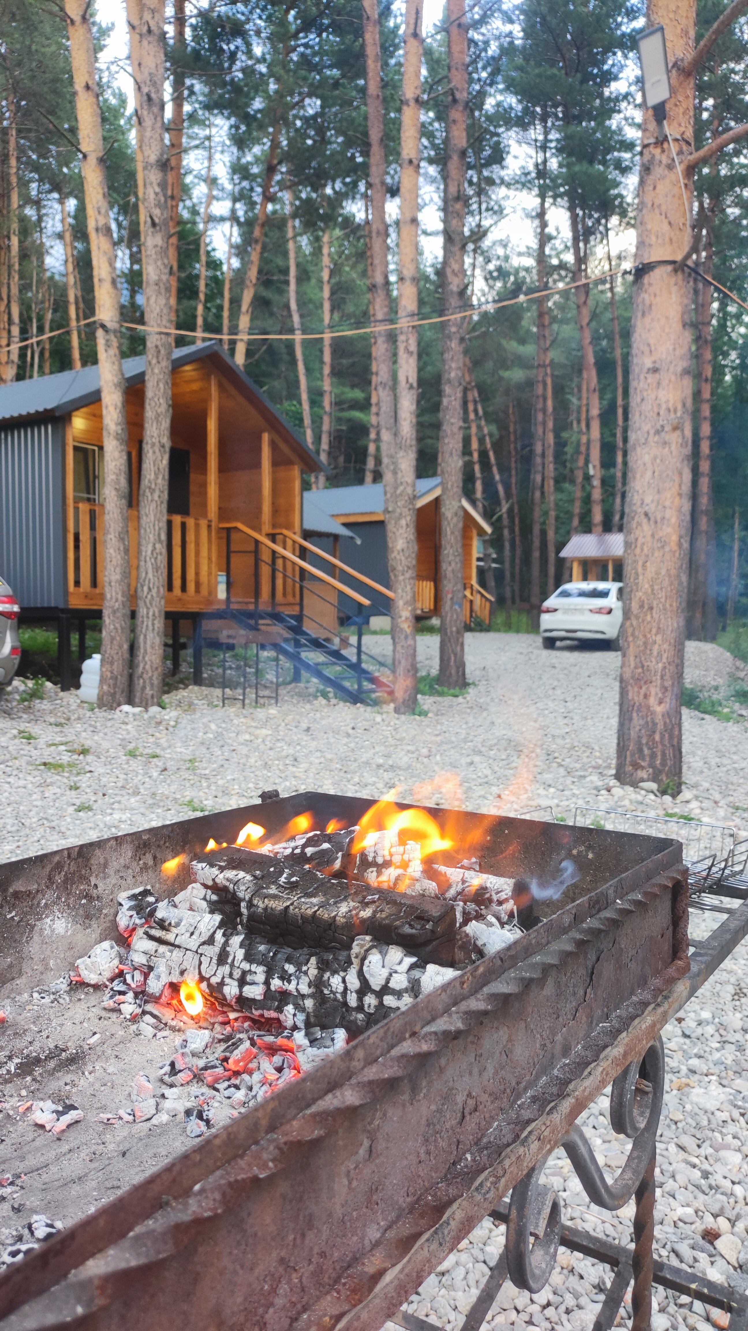 Фото Paradise Forest