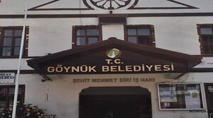 Bayindir House Library (Bolu, Göynük, Cuma Mah., Akşemsettin Cad., 17), library