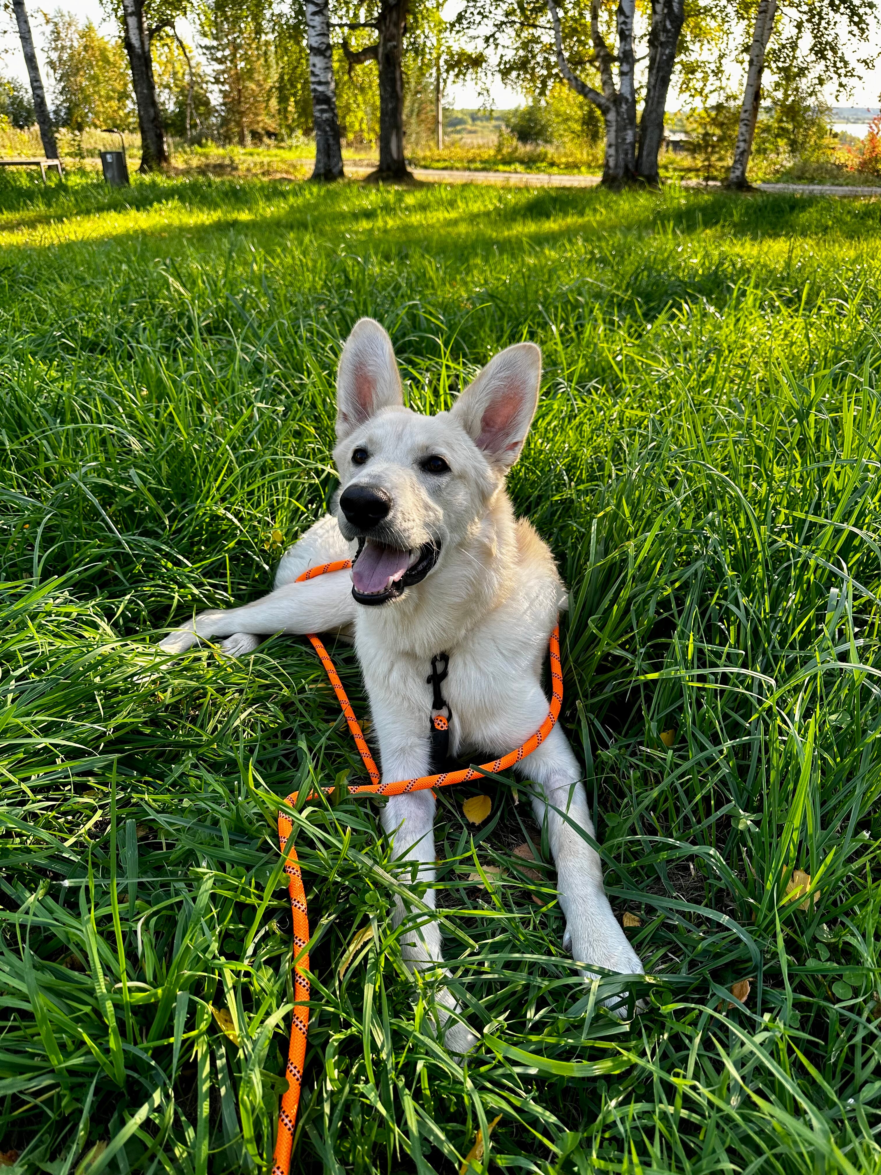 Фото Усадьба Лазаревых