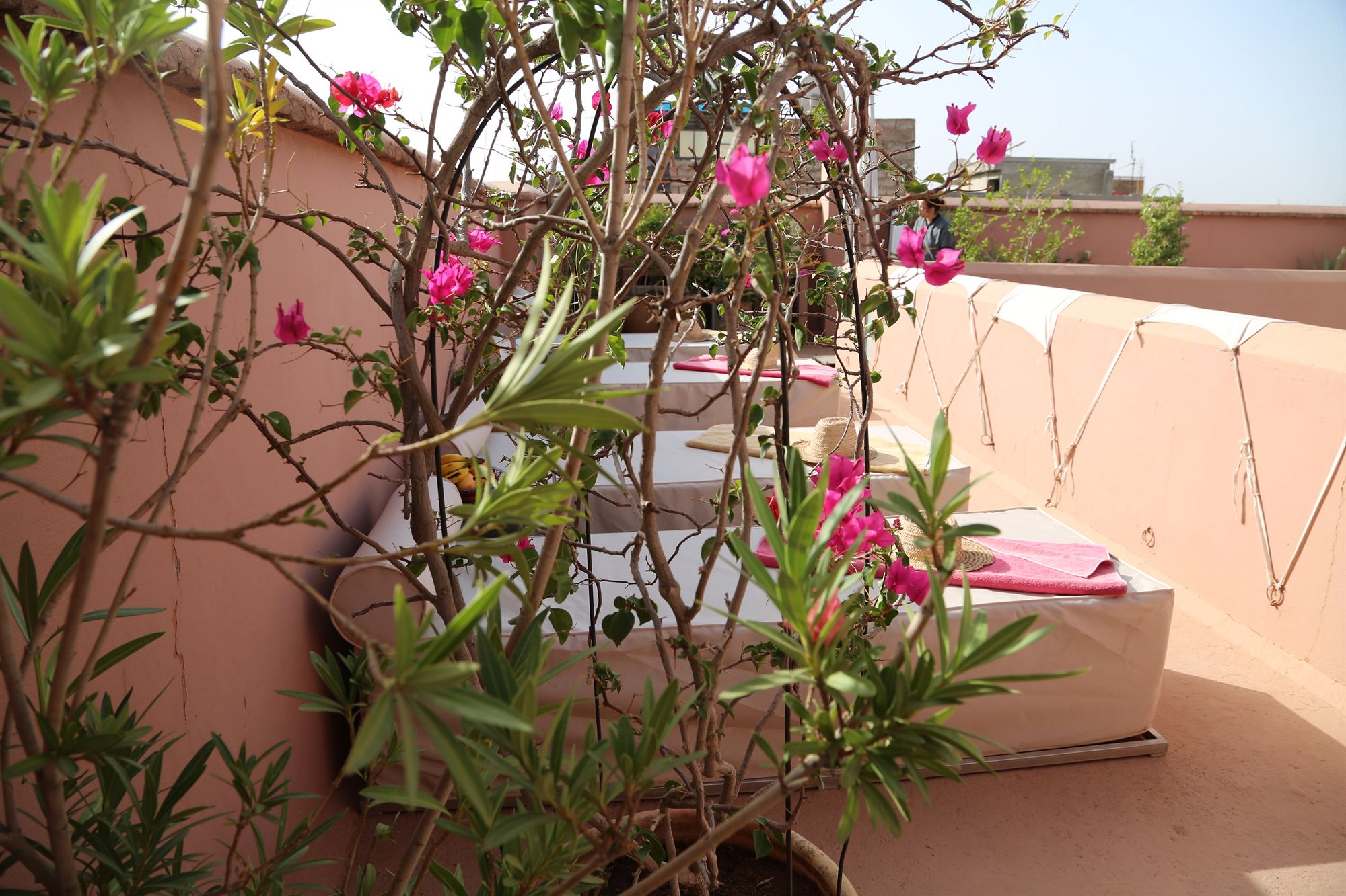 Фото Riad Djebel