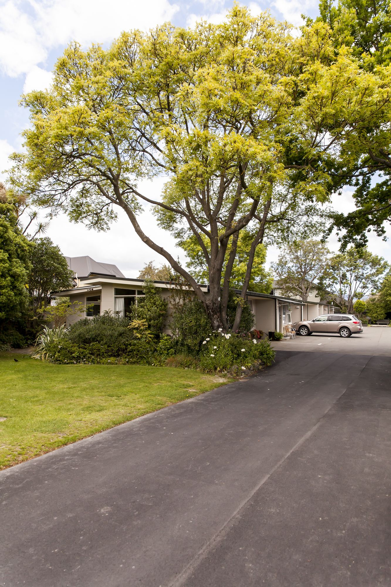 Фото Ashleigh Court Motel