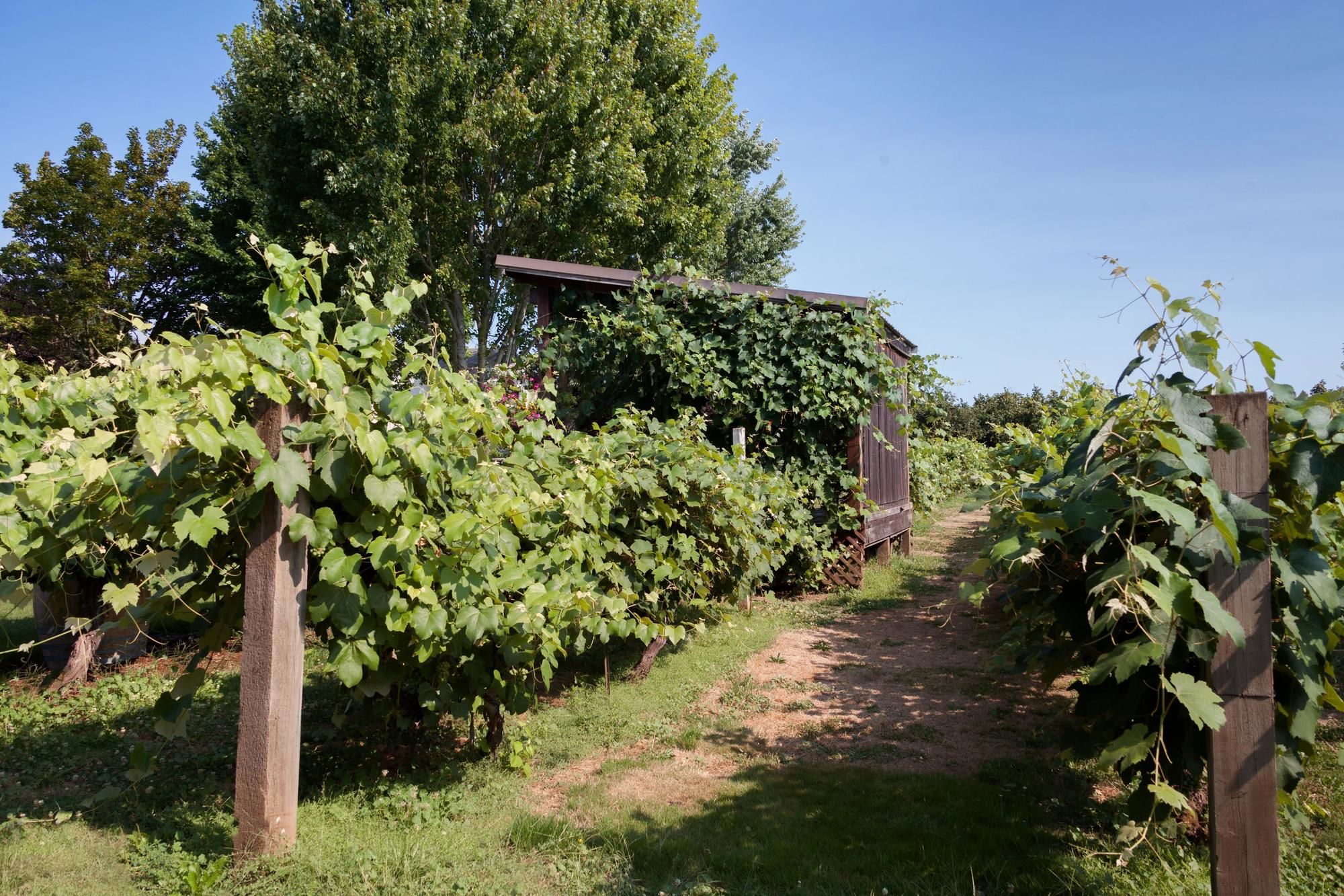 Фото Hampton Inn & Suites Portland/Hillsboro-Evergreen Park, Or
