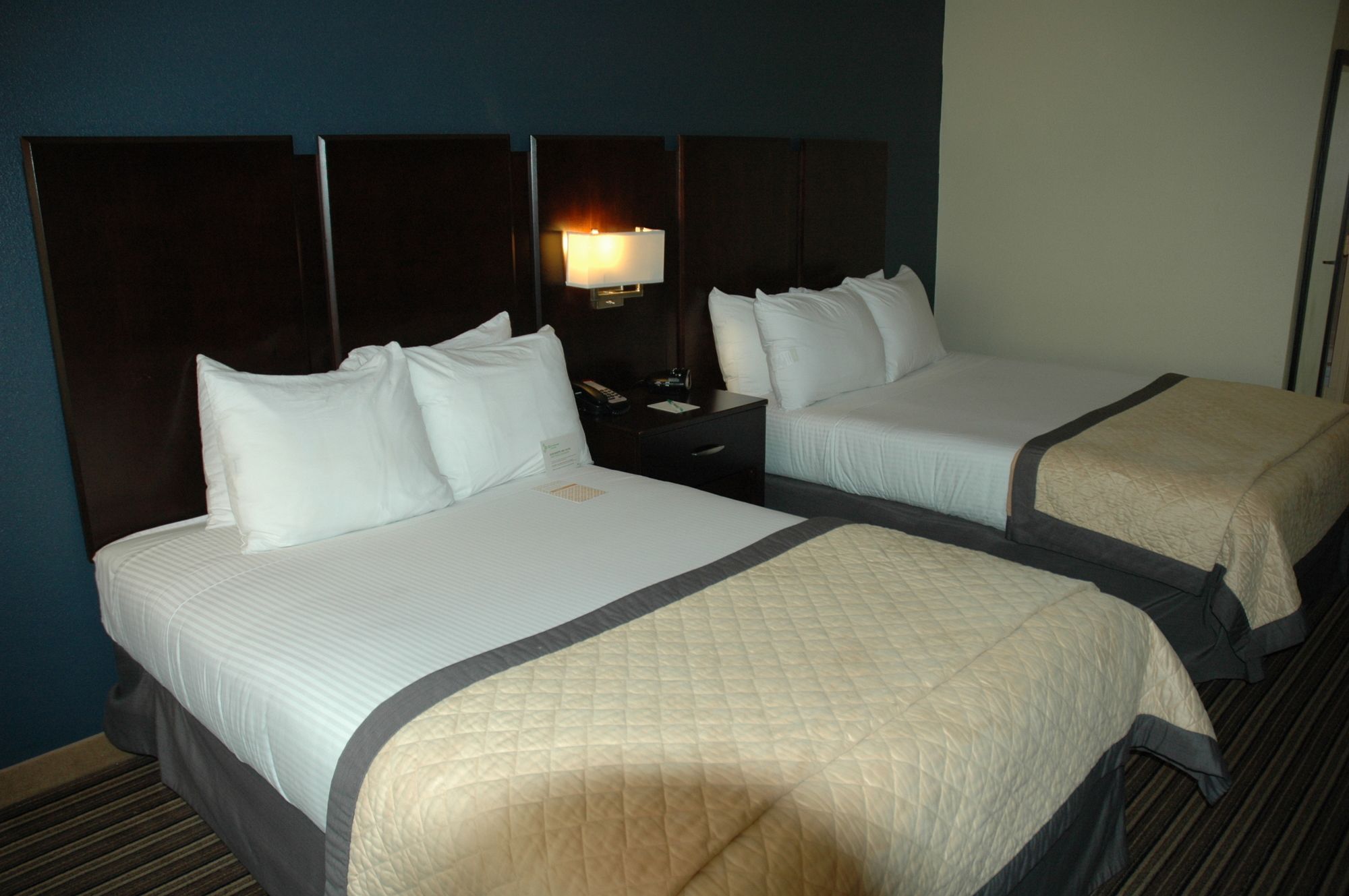 Фото Wyndham Garden Norfolk Downtown